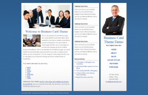 welcome-to-business-card-theme-business-card-theme-demo_1209160409720