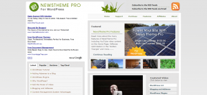 newstheme-pro-for-wordpress-quality-wordpress-theme-cms-themes-blog-template-css_1211223505256