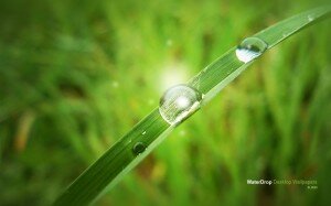 waterdrop_desktop_wallpapers_by_jk89